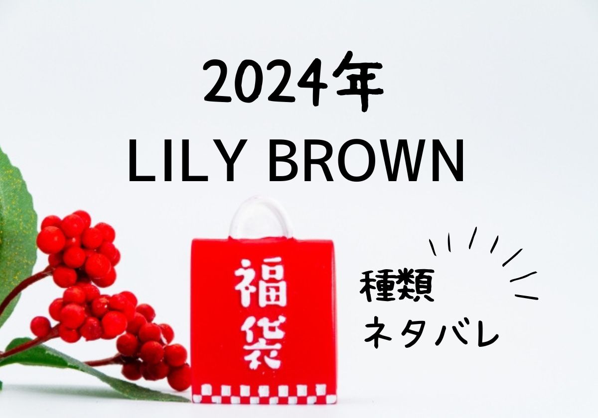 問屋直販リリーブラウンの福袋★lily brown セット/コーデ