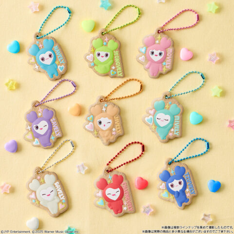 TWICEビスケットチャーム 全9種