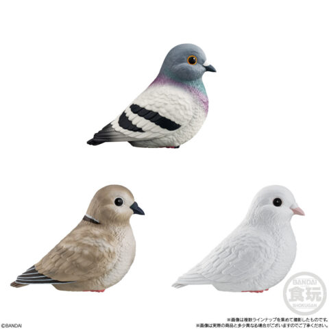 てのりフレンズ　鳩　3種