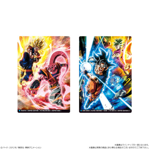 イタジャガドラゴンボール10