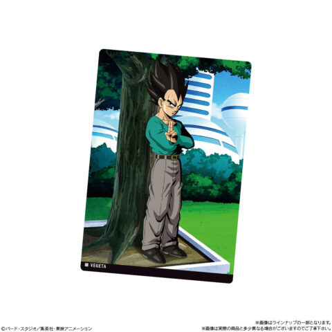 イタジャガドラゴンボール8　1種