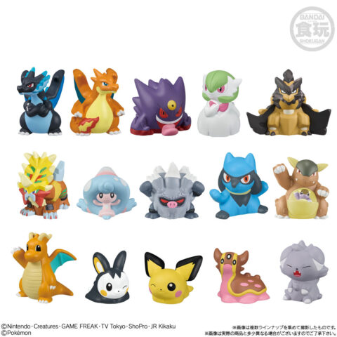 ポケモンキッズ　メガリザードンXY編　全種